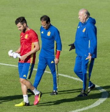 Cesc y Vicente del Bosque.
