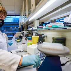 Estados Unidos detecta dos nuevas cepas del coronavirus aún más contagiosas; reunión urgente de la OMS