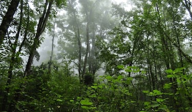 Los mejores lugares para recibir el Equinoccio de Otoño en México este 2024