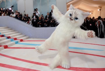 Jared Leto disfrazado Choupette, el famoso gato de de Karl Lagerfeld.