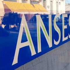 IFE ANSES: ¿cuáles son los tres nuevos requisitos para cobrar el aporte?