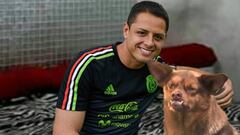 Buscan felicitar a Chicharito pero termina en memes y troleo