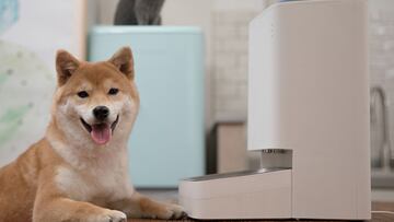 Xiaomi Smart Pet Food Feeder y Pet Fountain, un comedero y bebedero inteligentes para tu mascota
