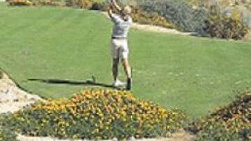 <b>PARAÍSO. </b>Gran Canaria quiere ser un referente del golf mundial.