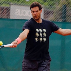 Del Potro fija febrero como mes de su regreso a las pistas