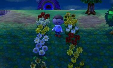 Animal Crossing: New Leaf