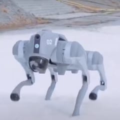 Una estación de esquí china despliega una patrulla de perros robot