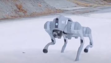 Perro robot en una estación de esquí