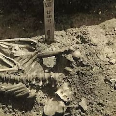 Encuentran los restos del primer ataque de tiburón a un humano