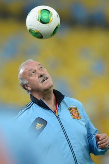 Vicente del Bosque.