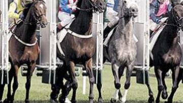<b>¡YA CORREN! </b>Los cajones volvieron a abrirse en el hipódromo y con los galopes los gritos de entusiasmo.