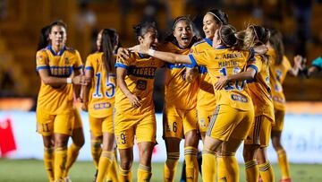 Enfrentar a Rayadas ya no motivaba igual a Tigres