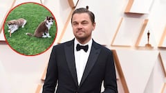 En una entrevista, Leonardo DiCaprio comparti&oacute; c&oacute;mo fue que tuvo que saltar a un lago helado para salvar a sus dos perros, Jack y Jill. Aqu&iacute; los detalles.