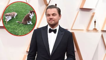 En una entrevista, Leonardo DiCaprio compartió cómo fue que tuvo que saltar a un lago helado para salvar a sus dos perros, Jack y Jill. Aquí los detalles.