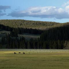 A ranch larger than Rhode Island is now for sale—and it looks straight out of Yellowstone