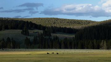 Want to own an empire? One’s for sale