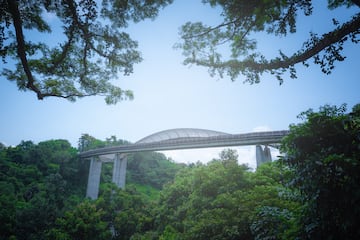 El puente peatonal Henderson Wave recibe su nombre por la semejanza de su forma con una ola. La longitud total del puente es de 274 metros, su ancho es de 8 metros y se eleva 36 metros por encima de la autopista Henderson Road, siendo considerado el puente peatonal más alto de Singapur.