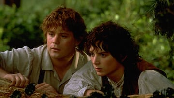 El señor de los anillos