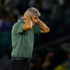 Pellegrini, entre el temor y la ilusión