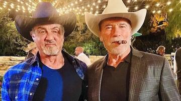 Schwarzenegger y Stallone