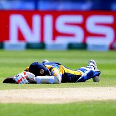 Swarm of bees interrupts Sri Lanka v South Africa