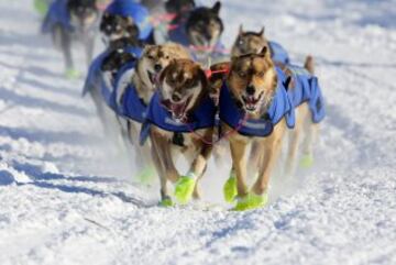 Iditarod: 1.000 km por el desierto de hielo de Alaska