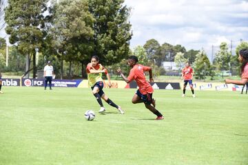 Las dirigidas por Carlos Paniagua iniciaron sus entrenamientos en la Sede Deportiva de la Federación Colombiana de Fútbol en Bogotá.