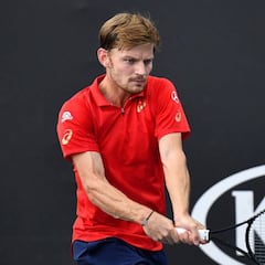 Más top-10 dudan del US Open: Goffin no sabe si irá a Nueva York