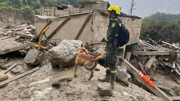 Colombia National Police rescue officer searches for victims with the help of a sniffer dog at an area damaged by a landslide, which left several casualties and other injured, in Quetame, Colombia, in this photo distributed on July 18, 2023. Courtesy Police Nacional de Colombia/Handout via REUTERS ATTENTION EDITORS - THIS IMAGE WAS PROVIDED BY A THIRD PARTY. NO RESALES. NO ARCHIVES. BEST QUALITY AVAILABLE. MANDATORY CREDIT.