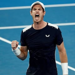 Tipsarevic: "Murray volverá más fuerte y ganará otro grande"