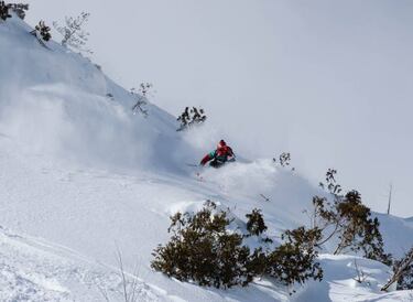?pico arranque del Freeride World Tour 2019 en Jap¨®n