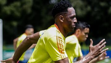 Yerry Mina