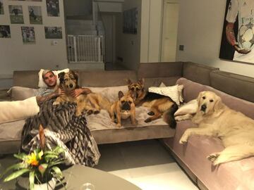 Roma, Kira, Moet y Enzo son sus cuatro perros a los que adora y comparte muchas fotos con ellos en su cuenta de instagram @theo3hernandez
