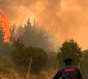 Qué es el Estado de Catástrofe por incendios forestales: medidas, restricciones y dónde lo decretaron