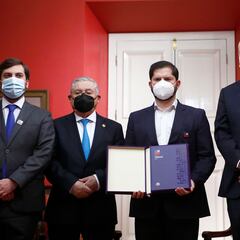 Nueva Constitución: dónde y cómo puedo descargar la propuesta definitiva