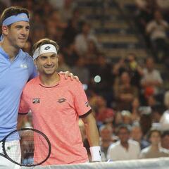 Del Potro sigue enrachado y vence a Ferrer en Argentina