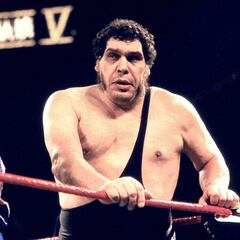 Los luchadores más queridos de la historia de la WWE