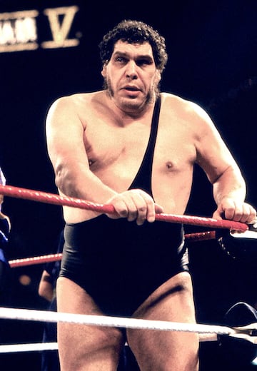 André René Roussimoff, más conocido como André el Gigante, fue uno de los primeros nombres que transcendió el mundo de la lucha libre. Nacido en Grenoble (Francia), era un ‘Goliat’ moderno. Padecía gigantismo, lo que provocó su temprana muerte (con 46 años, en 1993), y era uno de los principales reclamos de la WWF. Con 2,24 metros de altura y mas de 250 kilos, su sola presencia encandilaba a todos los fans, a los que enamoró desde siempre. Debido a ese tamaño, su leyenda se fue haciendo más grande: no podía conducir coches normales, debía volar sentado en el suelo y dicen que era capaz de beber hasta 120 cervezas de una vez. Fuese o no exagerada su aura, sobre el ring demostraba su tamaño y su calidad. Su rivalidad con Hulk Hogan es una de las mejores que han sucedido en la historia del wrestling.