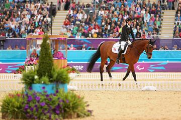 La Para equitación es el único deporte artístico en el Programa de los Juegos Paralímpicos. Incluye eventos de doma mixtos (por equipos, individual y estilo libre) y los atletas se agrupan  en cinco clases distintas dependiendo de la naturaleza y el alcance de su discapacidad física o visual. 