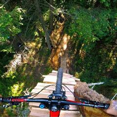Jordie Lunn en modo salvaje: drop desde un árbol a 20 metros de altura