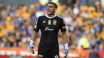 Nahuel Guzm&aacute;n, arquero de los Tigres, en un partido de la Liga MX.