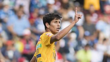 Jürgen Damm, Tigres