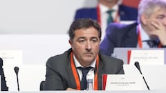 Gomar subsana los avales y Louzán reclamará ante el TAD