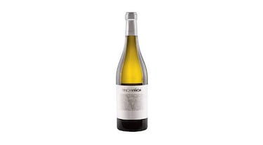 ?Qu vinos puedo llevar a la cena de nochevieja?
