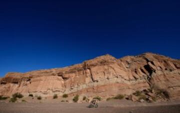La décima etapa del Rally Dakar entre Chilecito y San Juan (Argentina).
Matthias Walkner en su KTM.