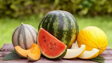Some people use the term melon interchangeably with the larger watermelon, but size isn’t the only difference between them.