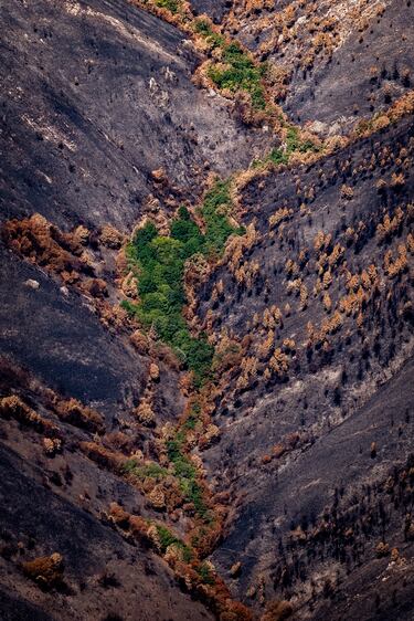 Desde el cielo: así han quedado las zonas afectadas por los incendios de agosto