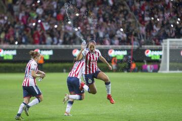 En el Torneo Apertura 2017 debutó la Liga MX Femenil. Chivas se metió a la Liguilla y en Semifinales dejó fuera al América. 