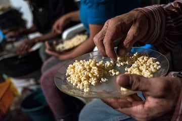 Son larvas de una especie de hormiga que se recolectan en la temporada de primavera, son considerados un manjar en la gastronomía mexicana desde tiempos prehispánicos. Se cosecha cada año entre los meses de marzo y abril, es considerado un alimento de lujo y reservado para ocasiones especiales.