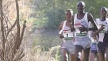 <b>PODEROSOS. </b>Los atletas africanos volvieron a ser ayer superiores.